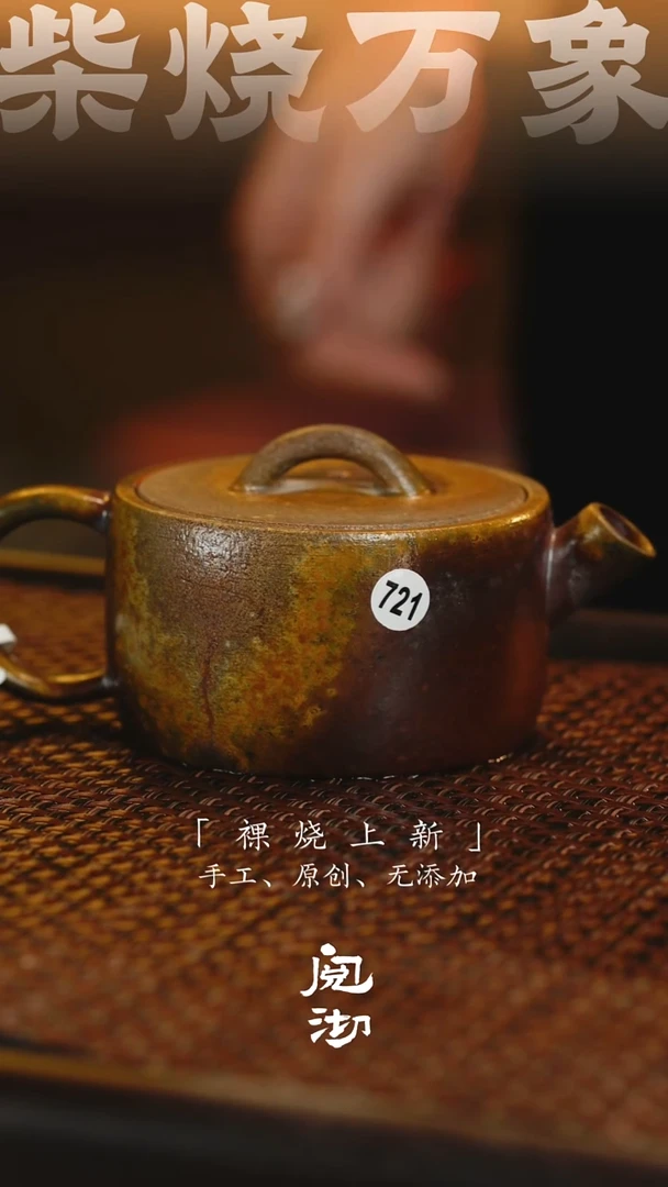 721逐日壶