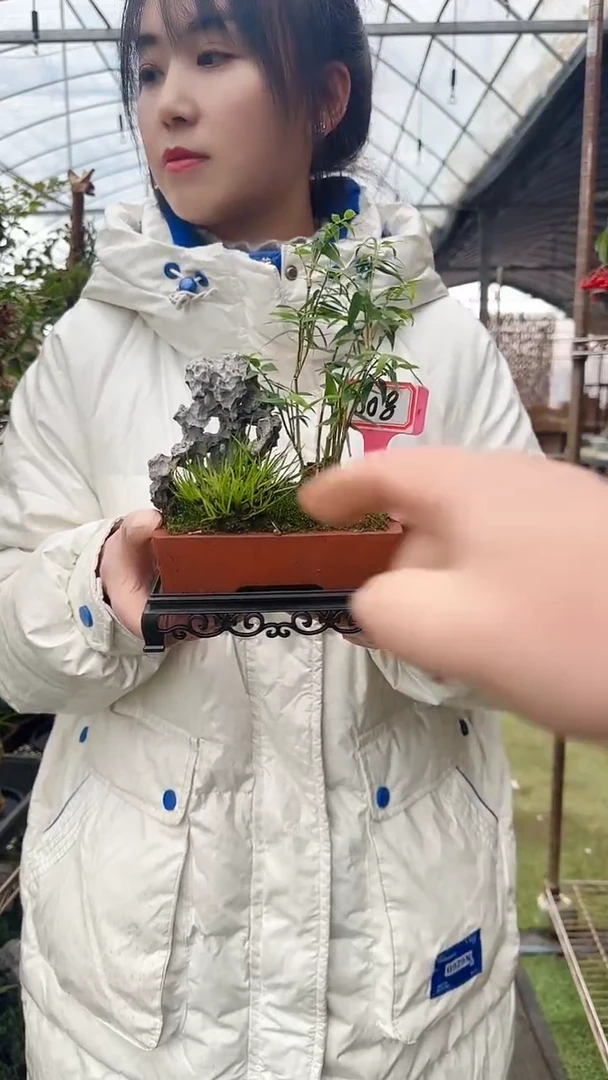 【闪购商品】008