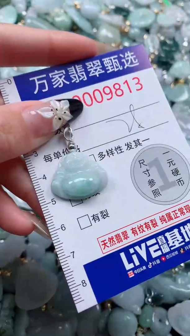 翡翠未镶嵌颈饰9813