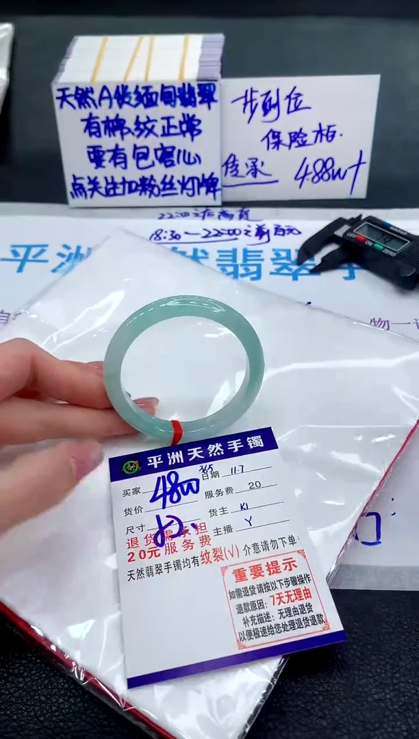 未镶嵌手镯翡翠11111111