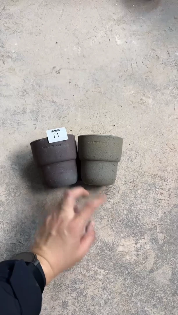 金鱼派71  10随身杯*2