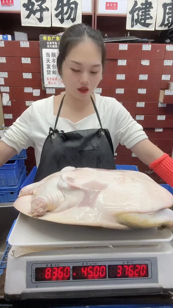 中国大陆实***站18.3斤一只