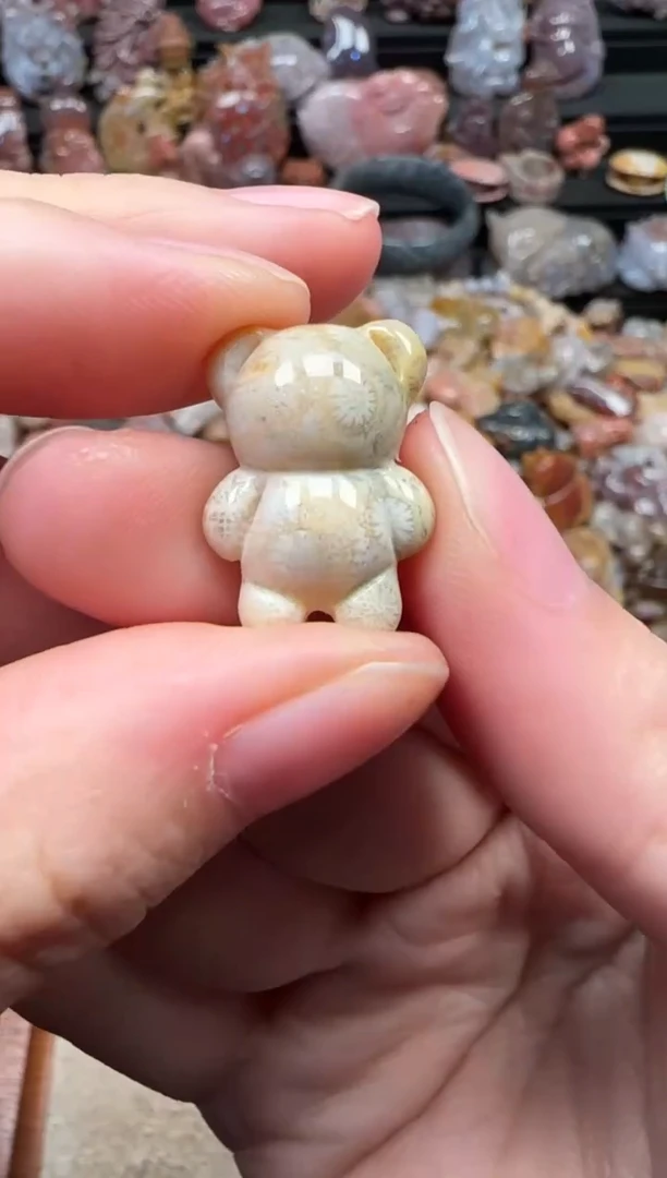 颈饰未镶嵌硅化珊瑚（珊瑚玉）751