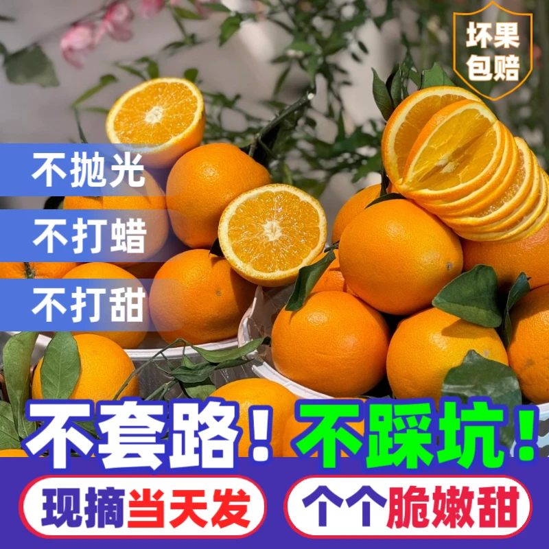 正宗江西赣南脐橙 新鲜现摘安远县原产地直发 孕妈妈健康水果橙T