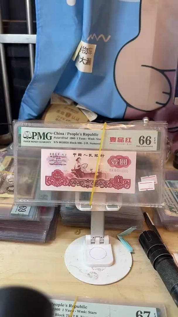 一品红66分无47！！！！！