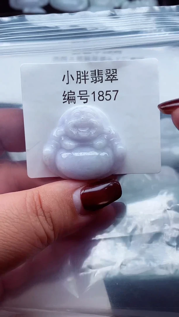 颈饰未镶嵌翡翠缅甸天然A货翡翠1857