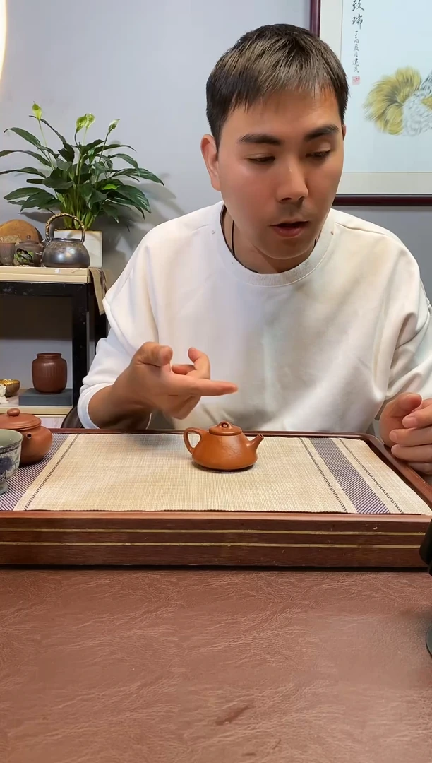 茶壶紫砂紫砂壶紫砂壶小品子冶80cc