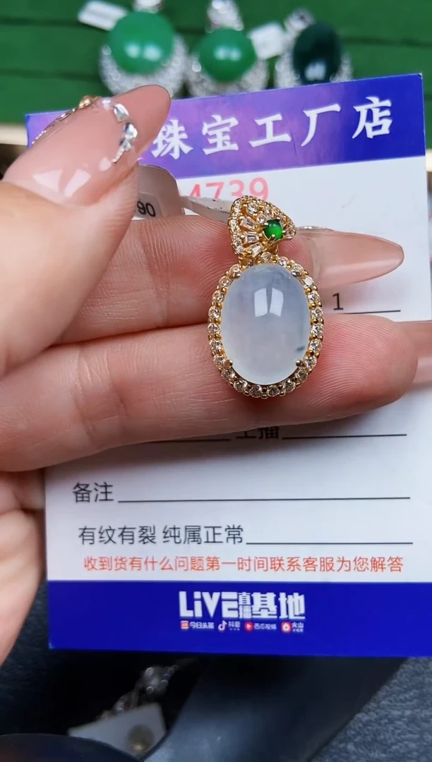 【闪购商品】翡翠颈饰银S925镶嵌4739