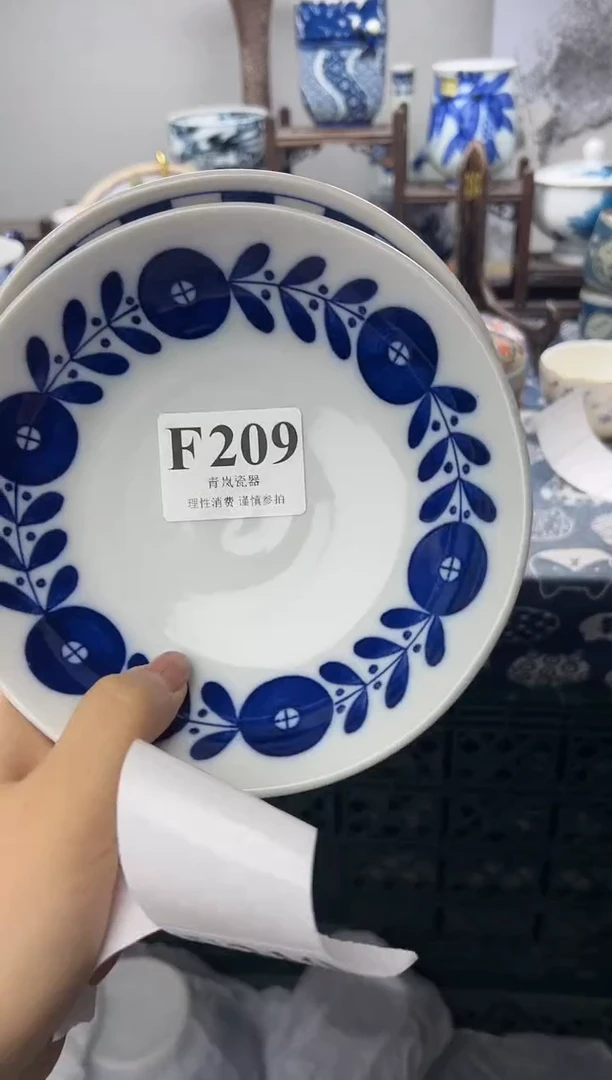 瓷片1*3    F209
