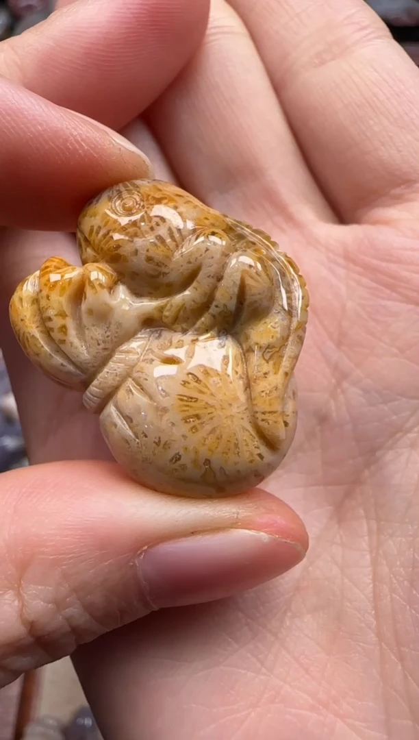 【闪购商品】硅化珊瑚（珊瑚玉）颈饰未镶嵌142