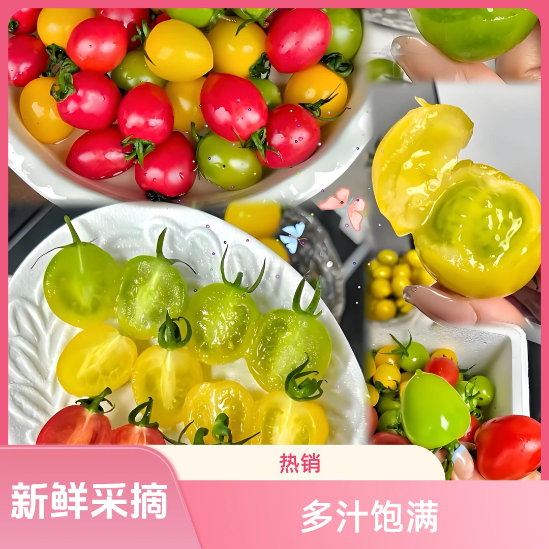 产地直发随机小蕃茄酸甜可口皮薄自然西红柿