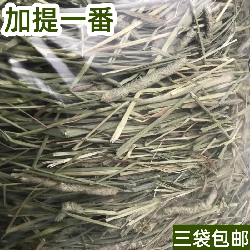 12月新到特优级加提一番一压加拿大提草提摩西草兔子龙猫豚鼠磨牙