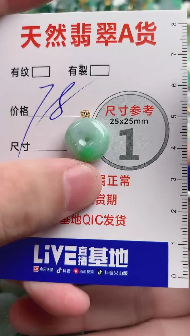 翡翠18K金镶嵌颈饰24000124