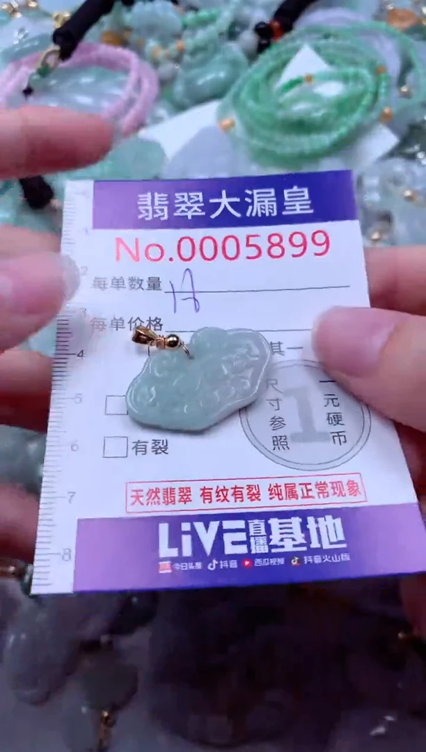 吊坠(不含链)未镶嵌翡翠5899