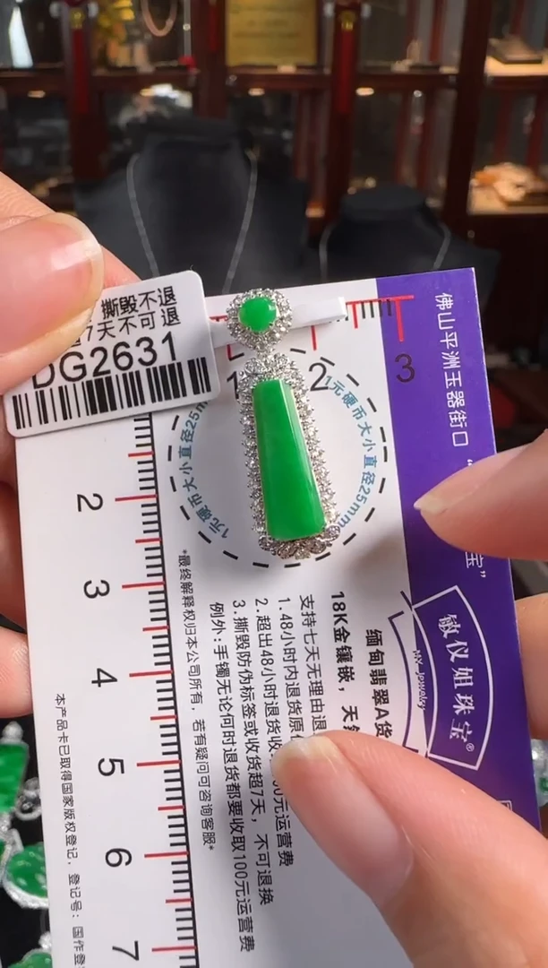 颈饰18K金镶嵌翡翠DG2631辣绿无事牌