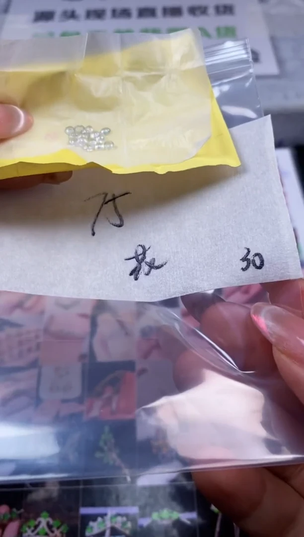 翡翠散珠花***海翡翠 散珠