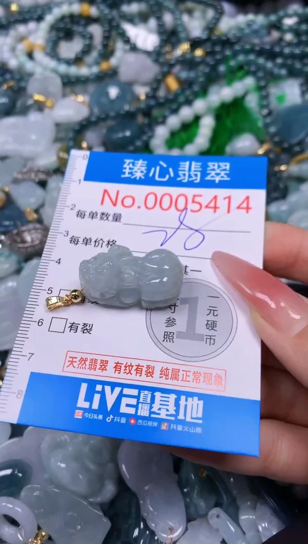 【闪购商品】翡翠颈饰未镶嵌含绳0005414