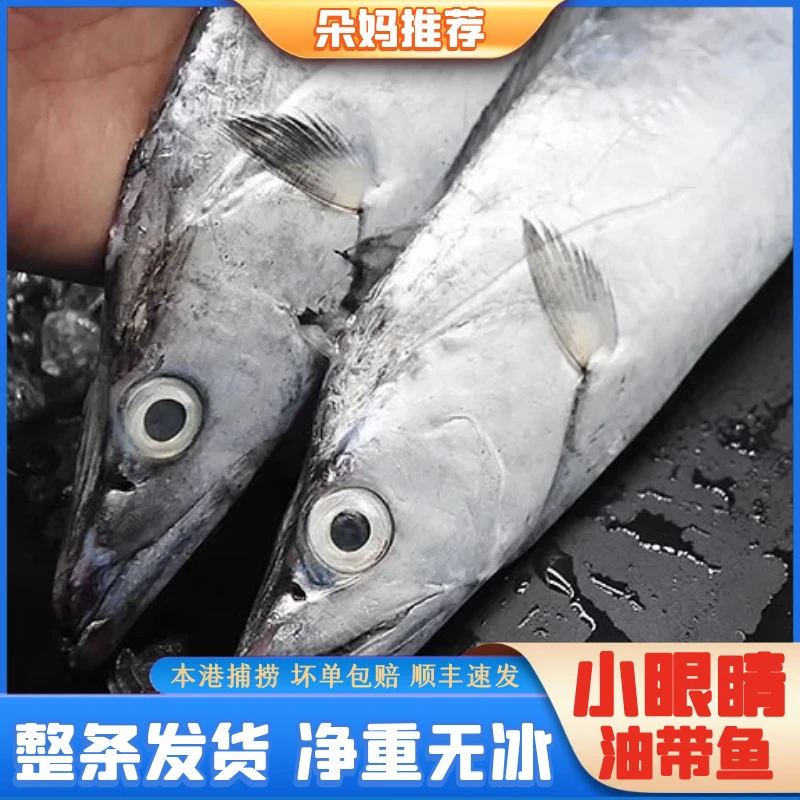 【朵妈海鲜】大号整条带鱼野生冷水小眼睛油带5-6两/条7条3.7-3.8斤