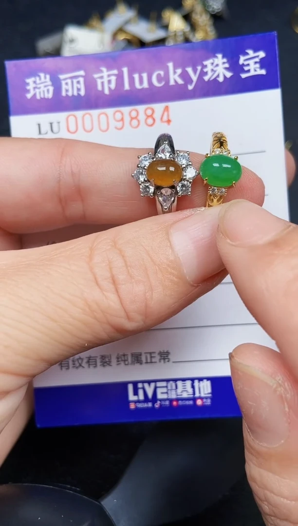翡翠银S925镶嵌颈饰9884