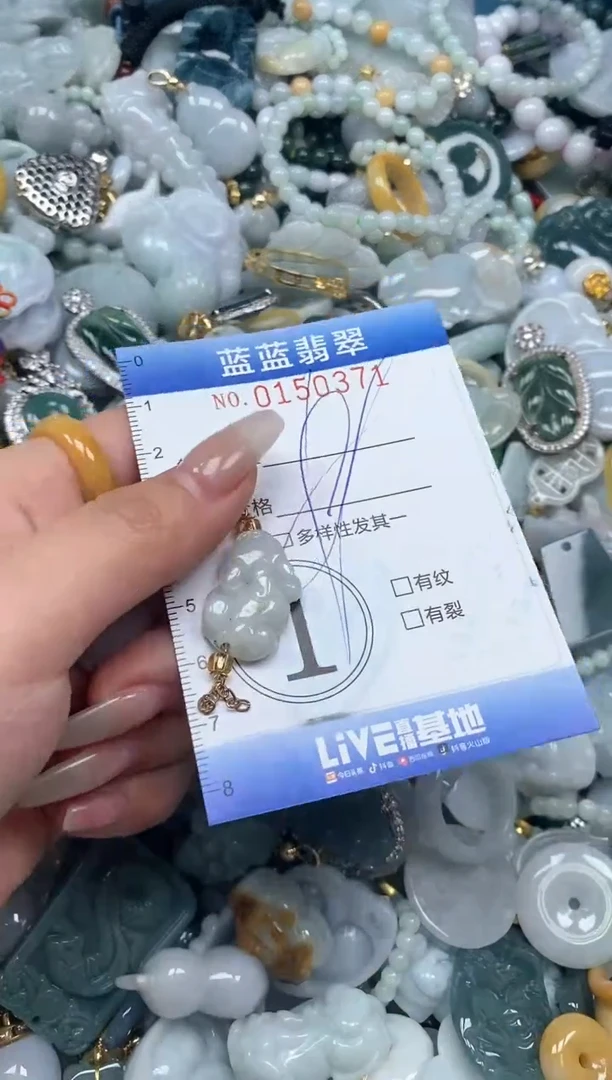 【闪购商品】翡翠颈饰未镶嵌闪购0150371多样性发其一