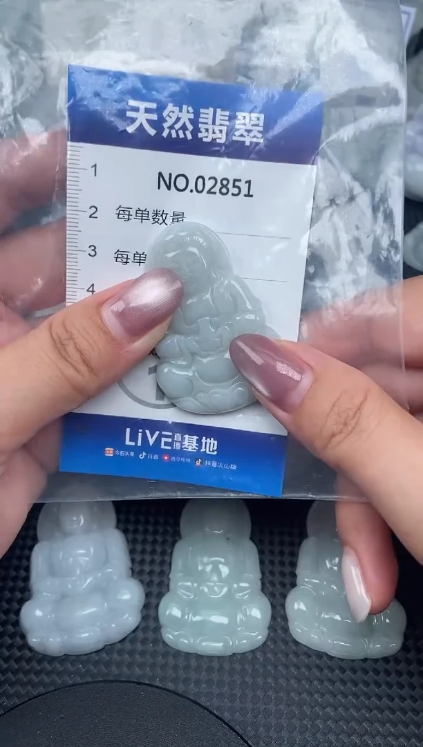 颈饰未镶嵌翡翠纯天然A货翡翠2851