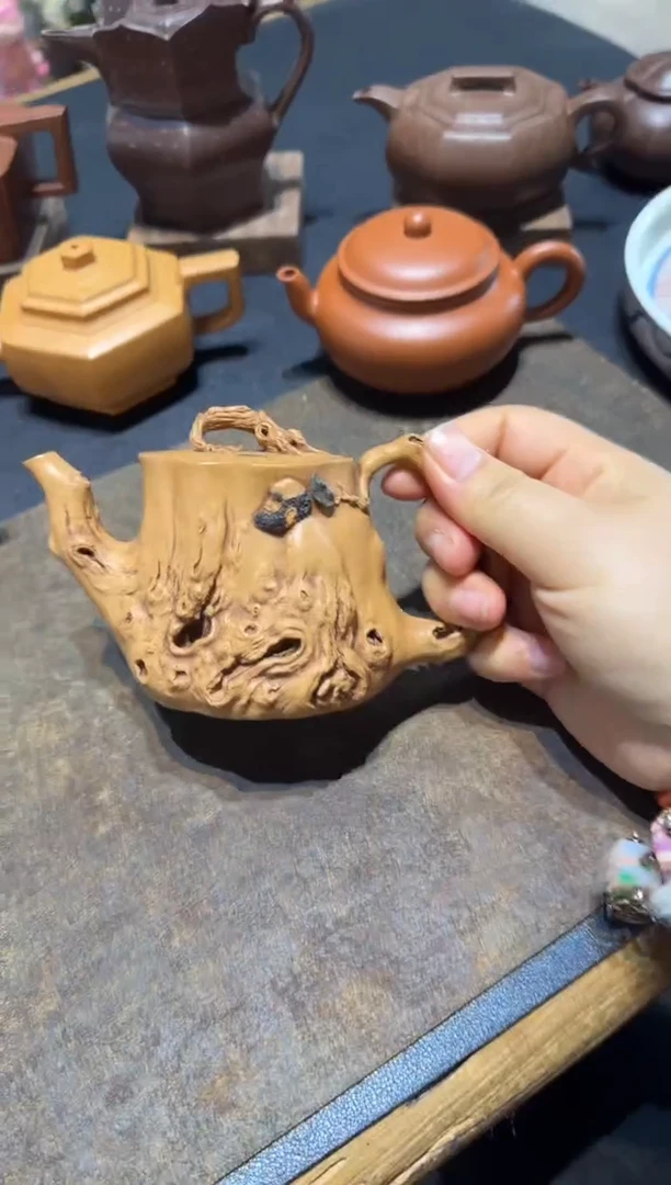 茶壶紫砂影**卷松桩达摩【预售】