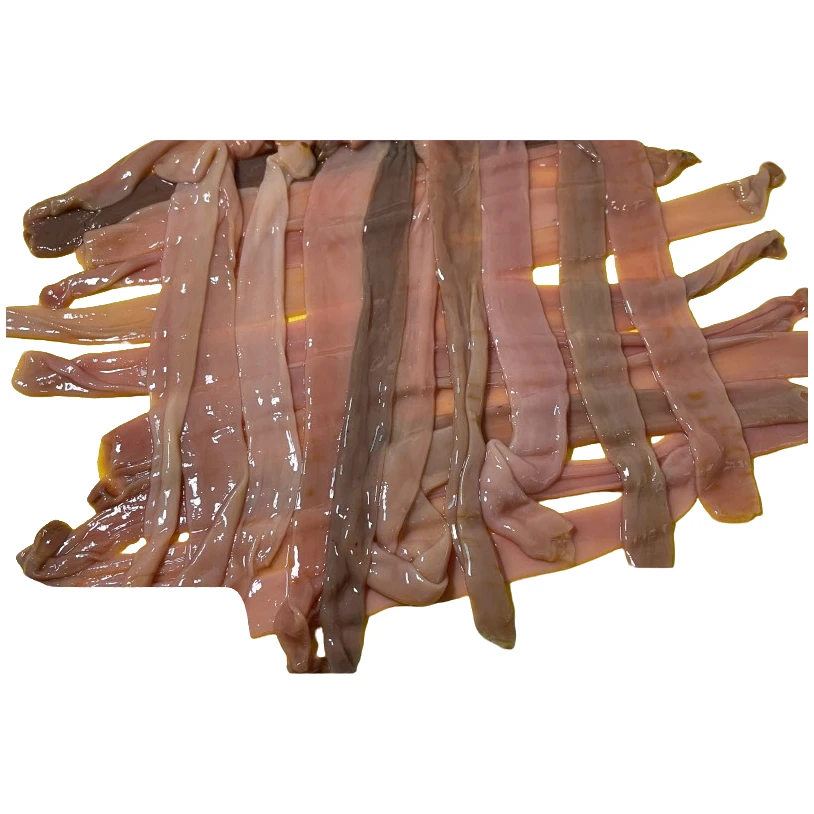 大连特产厚皮去脏海肠皮新鲜海捕鲜活现杀冷冻包饺子捞饭非沙虫子