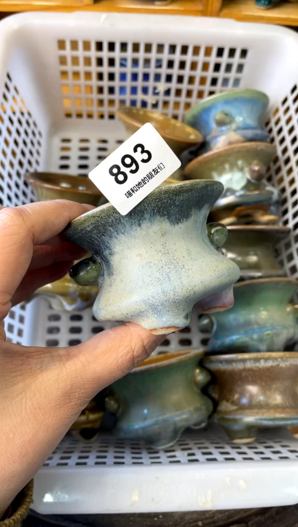 【闪购商品】陶893 内口6.5【多肉花盆多肉盆】