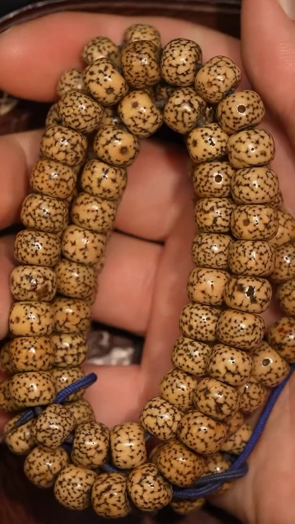 冲赛康胡子哥，藏传念珠233