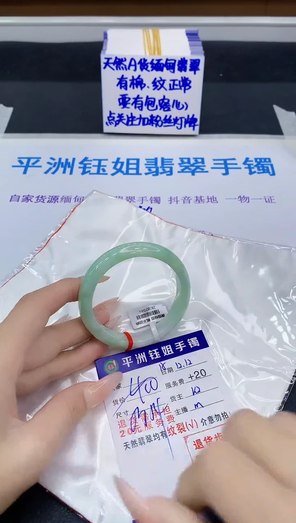未镶嵌手镯翡翠11111