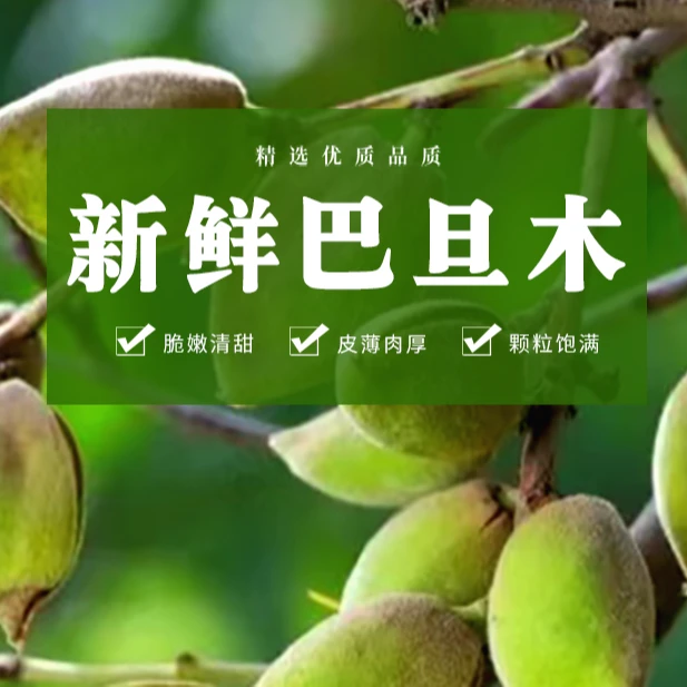 【顺丰包邮】河南优质新鲜青皮巴旦木当季大杏仁现摘现发2斤4斤扁桃