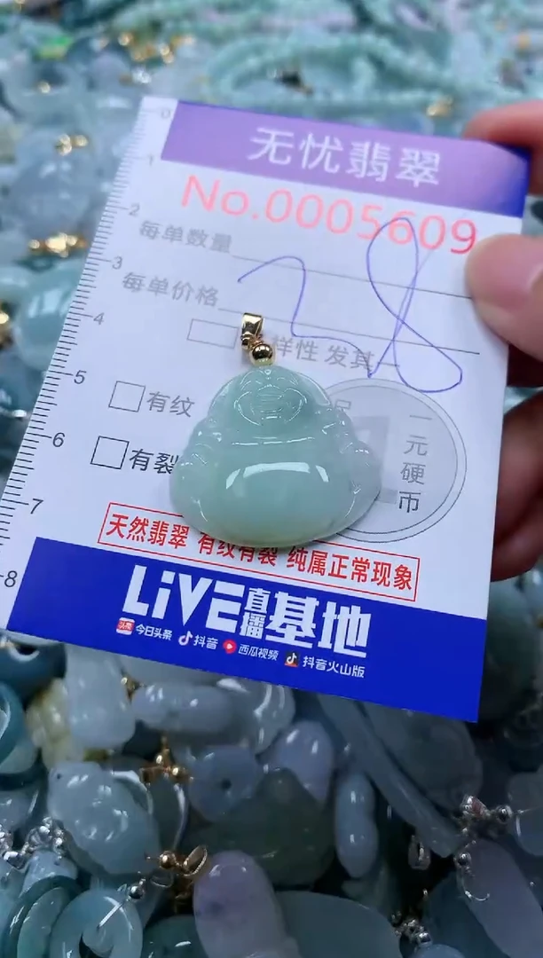 翡翠未镶嵌吊坠(不含链)5609