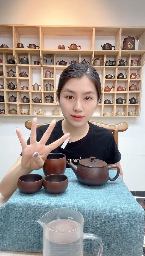 星月玩壶建水紫陶