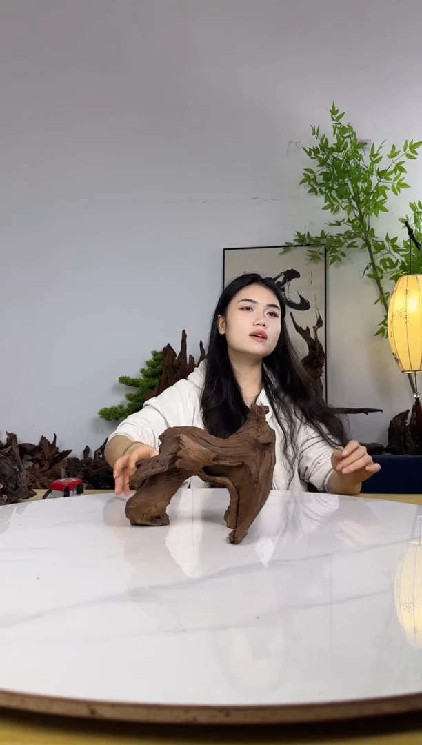 ?*楼拍沉木定向链接编号65