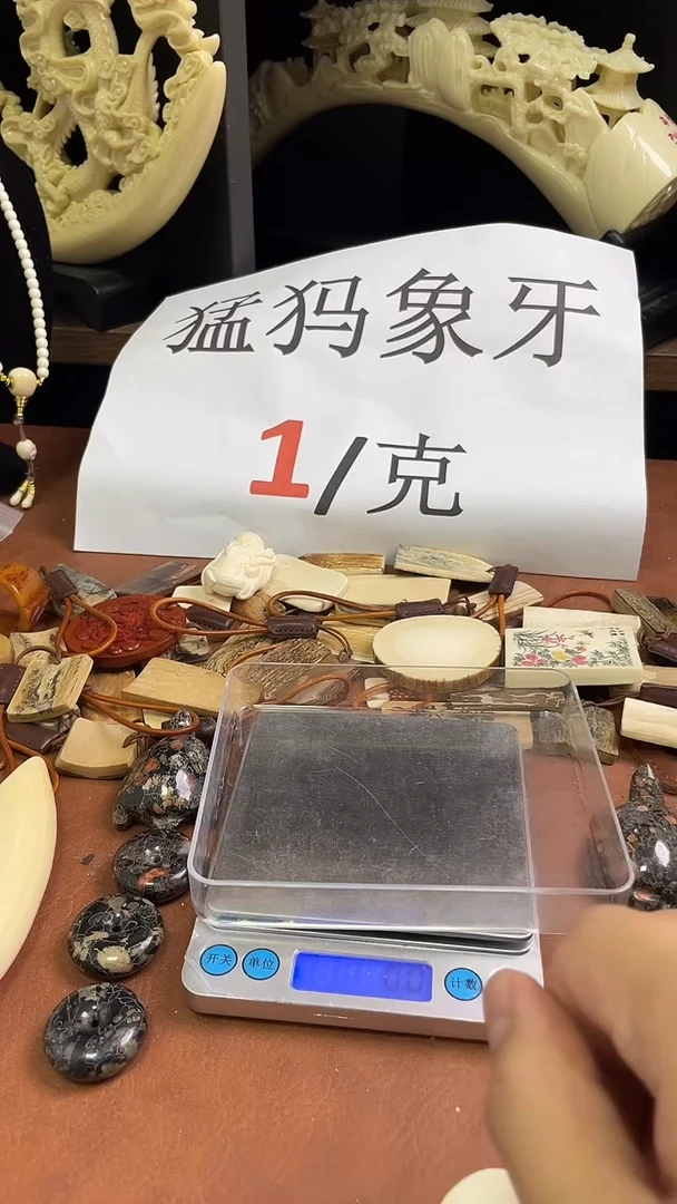 猛犸袅袅12m单株