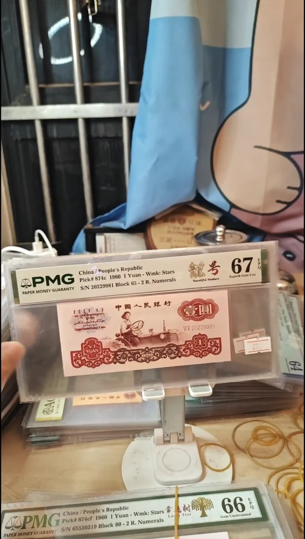 幸运树+宝石红+白星王67分20229981朦胧号