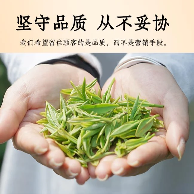 【精品G2220】2025年新茶安吉原产地明前白茶 耐泡 兰花香高山绿茶