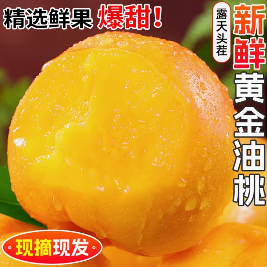 蒙阴黄油桃水蜜桃爆汁脆桃好吃水果爆汁果园脆甜新鲜现摘黄桃2