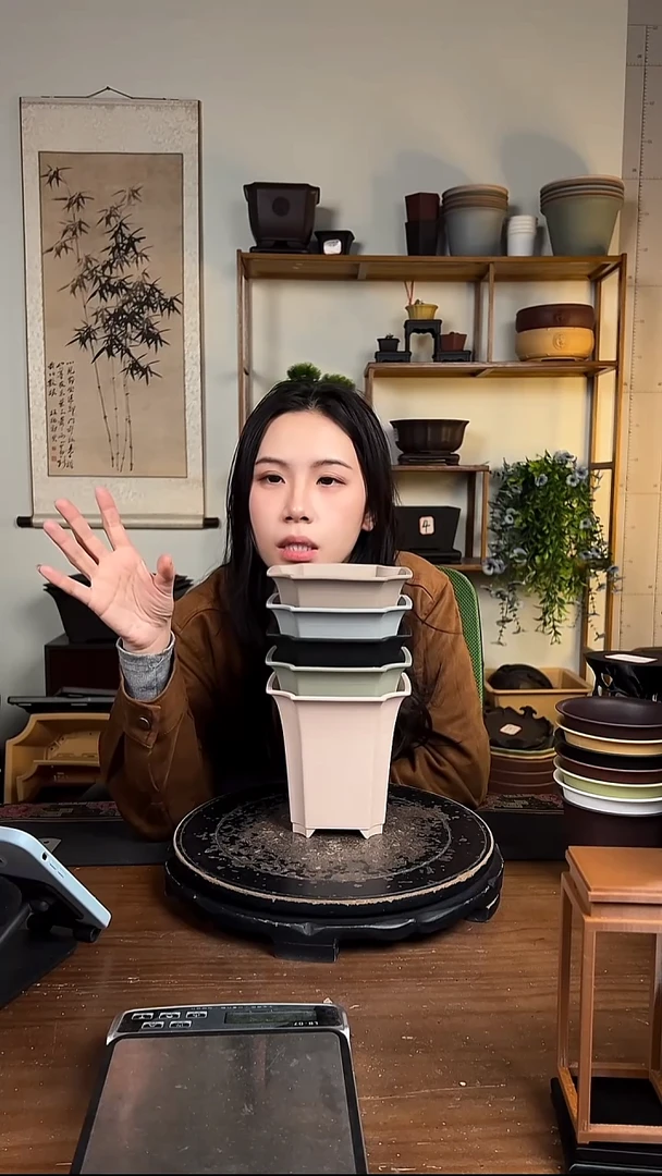 14.5四方尊 6只装颜色随机