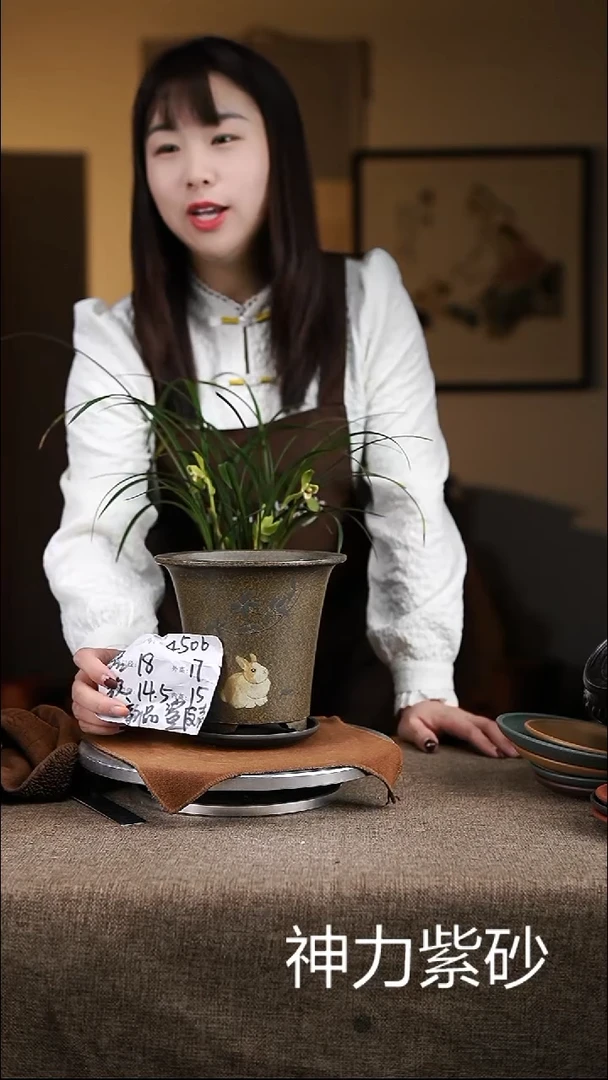 【闪购商品】紫砂花盆紫砂花盆4506+z