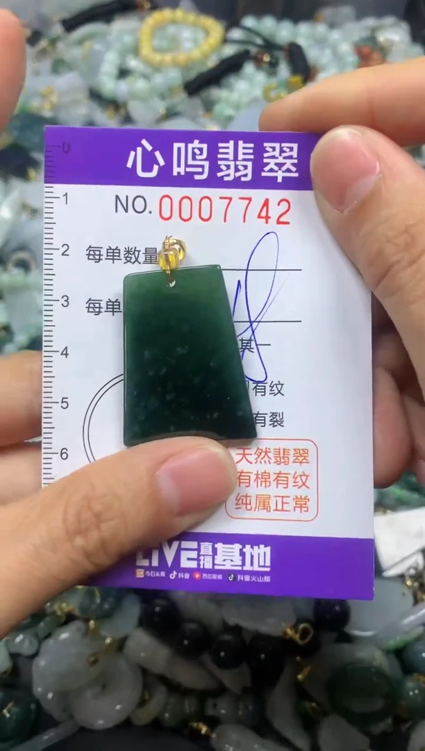 【闪购商品】翡翠颈饰未镶嵌闪购007742