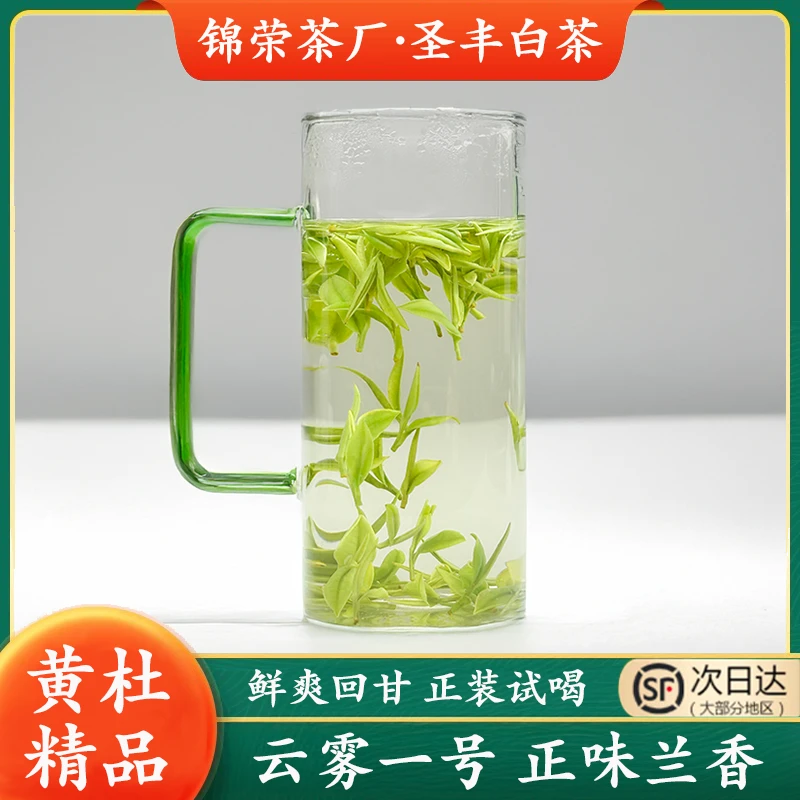 圣丰黄杜精品-云雾一号 安吉白茶正宗兰花香送礼茶礼安吉新茶白茶
