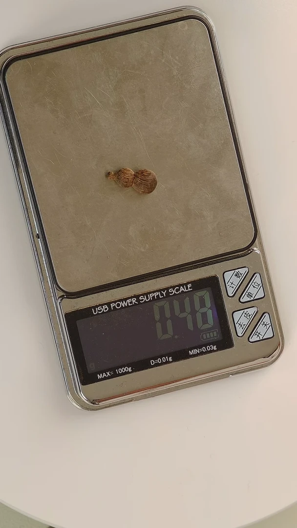 【闪购商品】沉香手把件文莱沉水葫芦0.48g