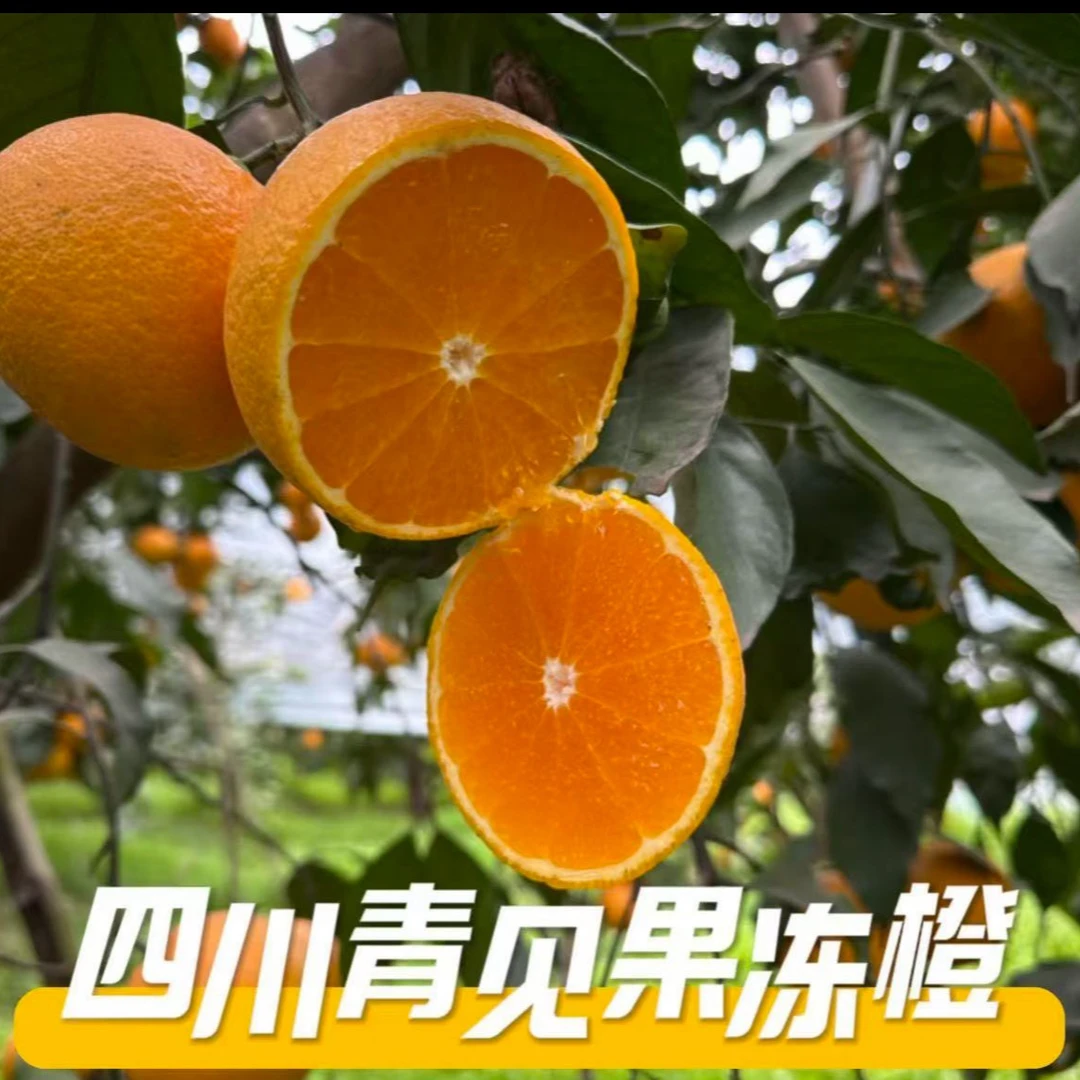 四川青见果冻橙9斤新鲜手剥橙酸甜多汁应季晚熟柑橘坏果包赔