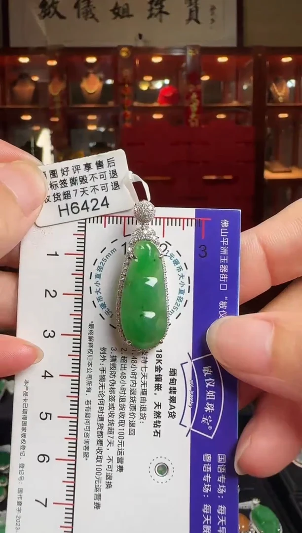 翡翠18K金镶嵌颈饰H6424冰绿富贵豆