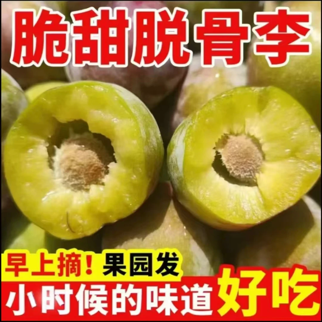 正宗四川脱骨李新鲜应季脱骨脆红李脆甜多汁小脆红-新鲜水果