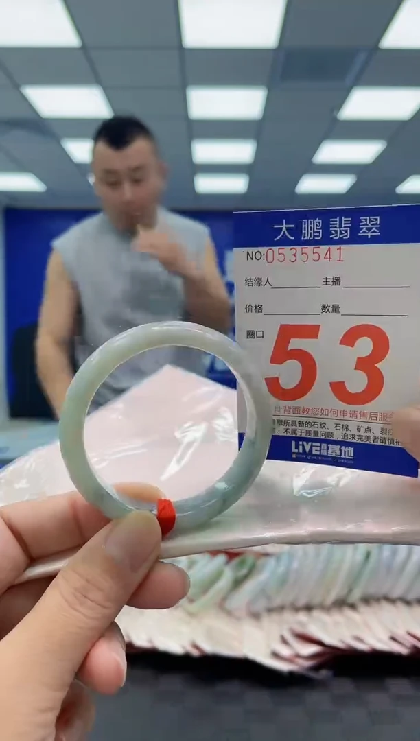 未镶嵌手镯翡翠AAAAAAAAAA