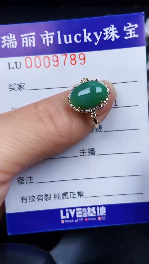 翡翠银S925镶嵌颈饰9789