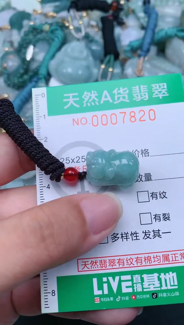 翡翠未镶嵌颈饰.0007820