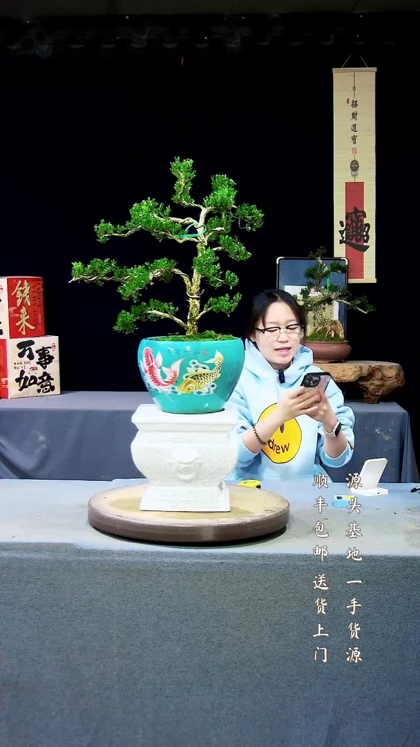 【闪购商品】雀舌黄杨盆景高端黄杨盆景